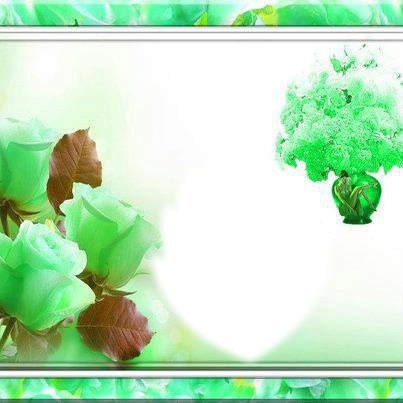 cadre vert avec roses Фотомонтаж