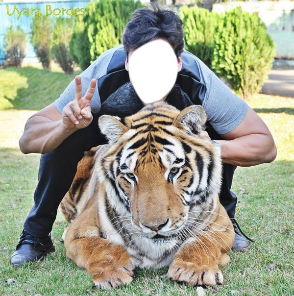 tigre porteur Fotomontage