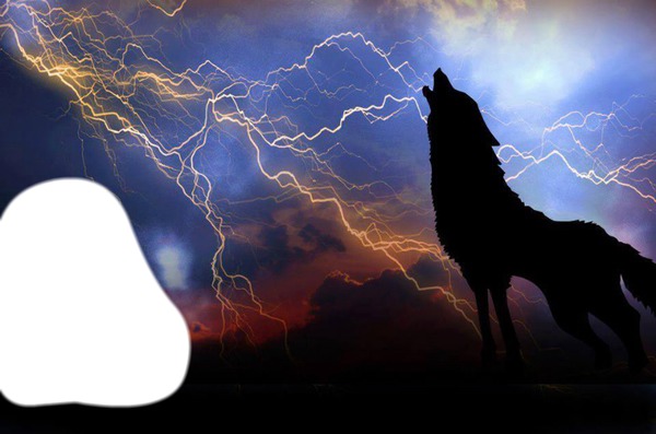 loup sous l'orage Fotomontáž