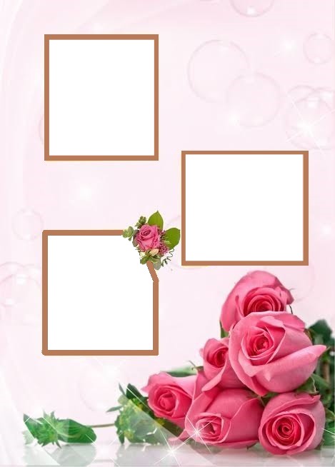 marco y rosas fucsia, 3 fotos. Фотомонтажа