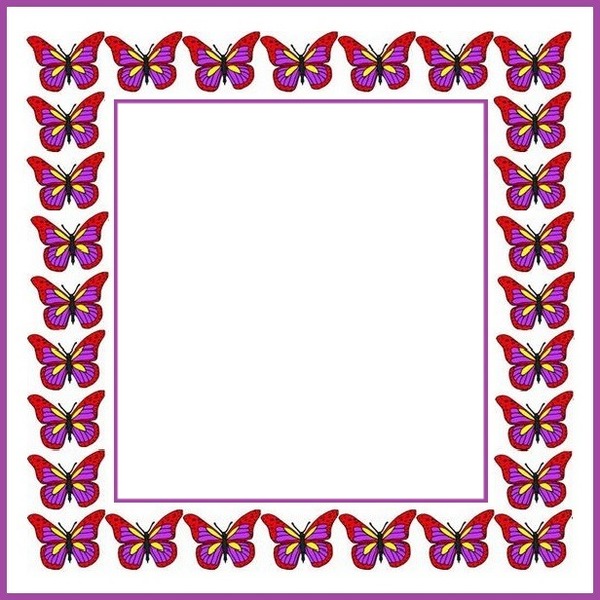 marco mariposas lila. Fotomontage