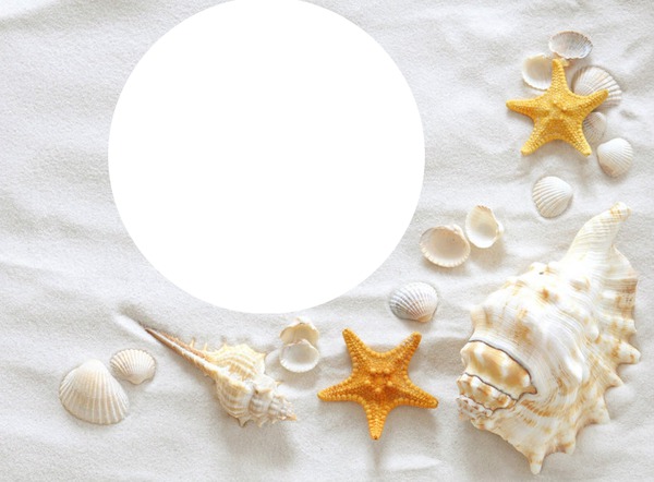 sable blanc et coquillage Фотомонтажа