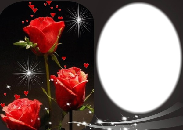 Cadre de roses rouge Photo frame effect