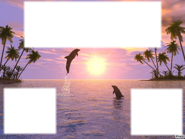 Coucher de soleil avec dauphins フォトモンタージュ