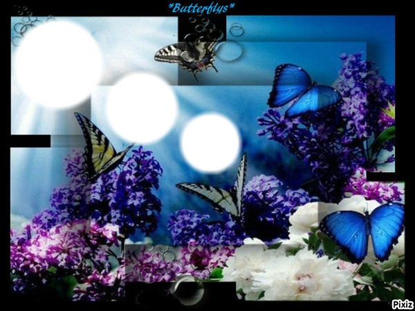 BUTTERFLYS Montage photo
