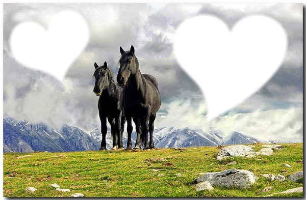 amor a caballo Fotomontáž