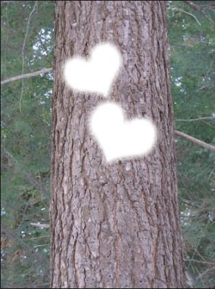arbre des amoureux Fotomontáž