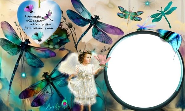 a dragon fly Photo frame effect