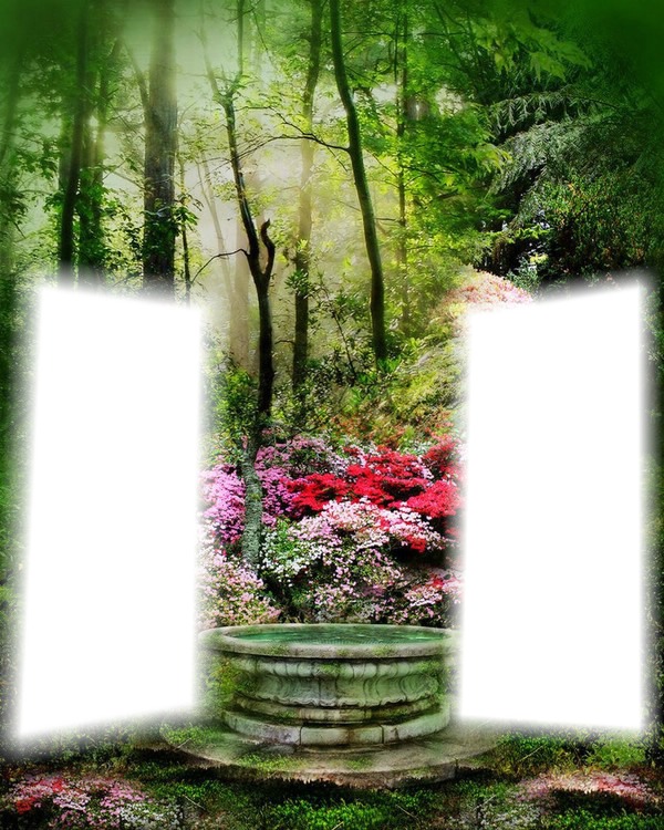 Jardin fleuri Photo frame effect