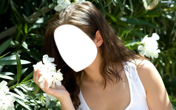 kwiat biały Fotomontage
