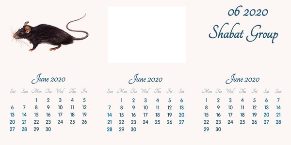 June 2020 // English // 2020 to 2055 Calendar // 2020.02.15 Valokuvamontaasi