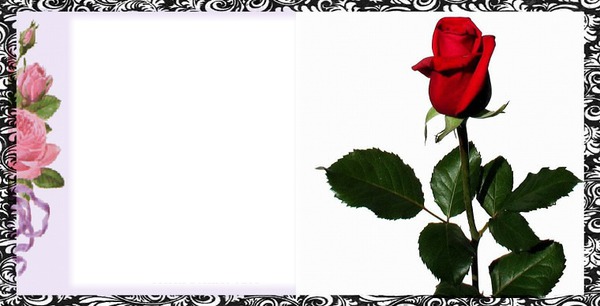 Roses Fotomontaža