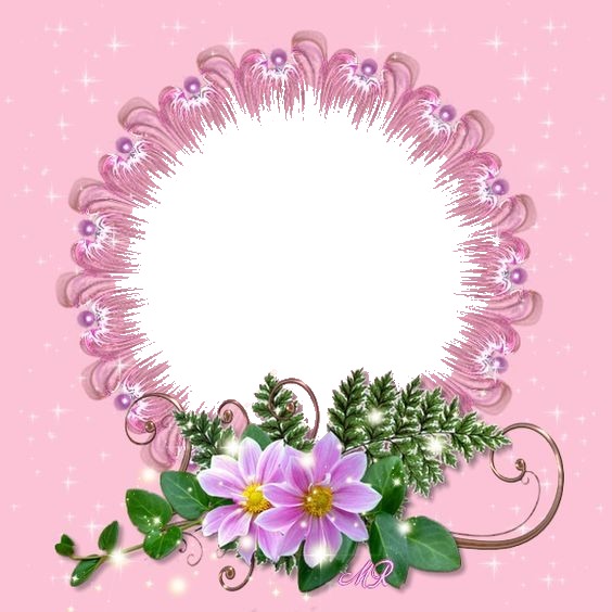 marco y flor lila, fondo rosado. Fotomontagem