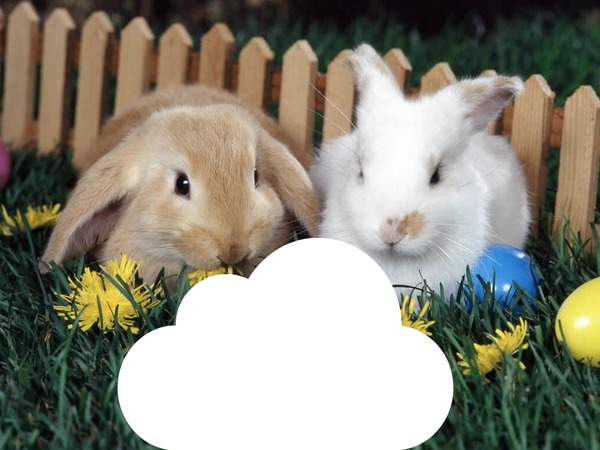 Pâques easter rabbit lapin nuage フォトモンタージュ