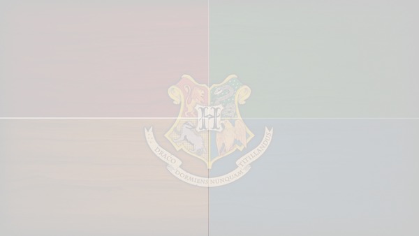 Harry Potter Hogwarts 4 photos Montaje fotografico