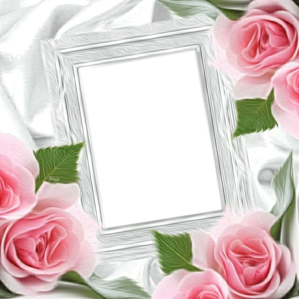 cadre roses* Fotomontaža