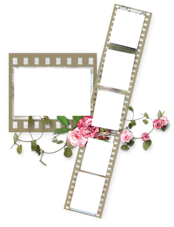 6 film frames with pink roses-hdh 1 Fotomontaža