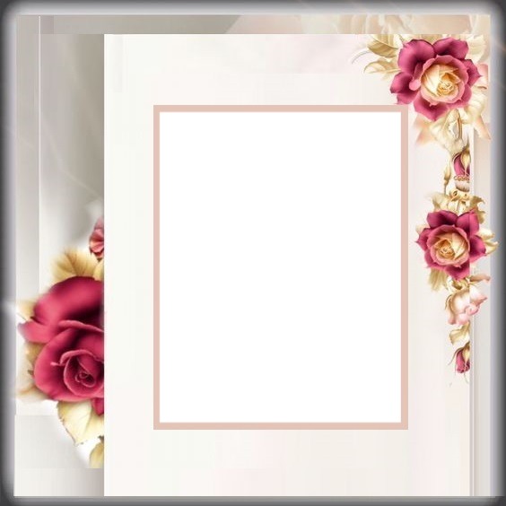 marco y rosas guinda. Photo frame effect