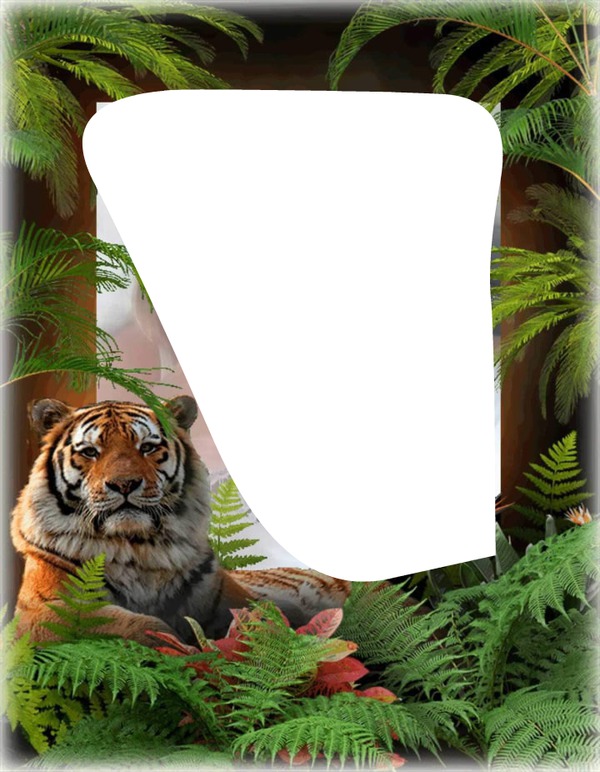 tijger Photo frame effect
