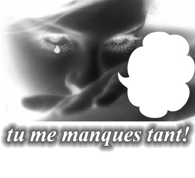 tu me manques tant ! 1 photo cadre Photo frame effect