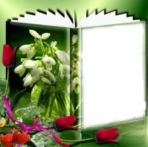Love Book Photo frame effect