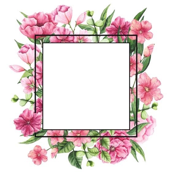 marco y flores rosadas. Photomontage