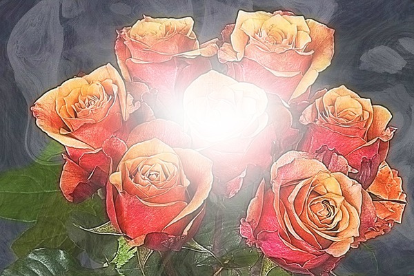 Róże Fotomontaža