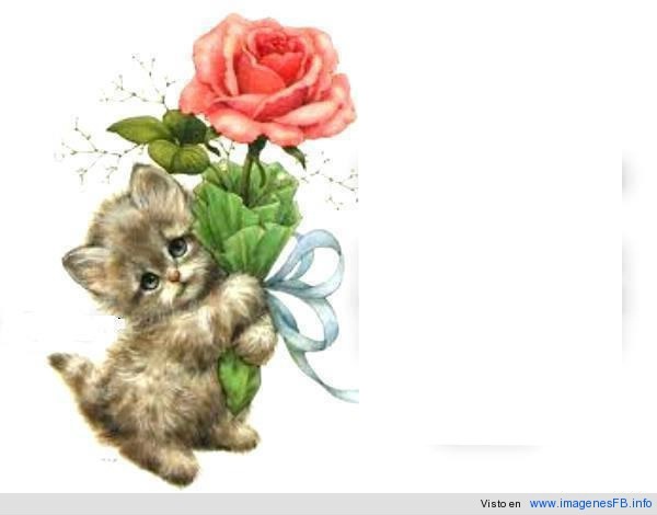 gatito con rosa Fotomontáž