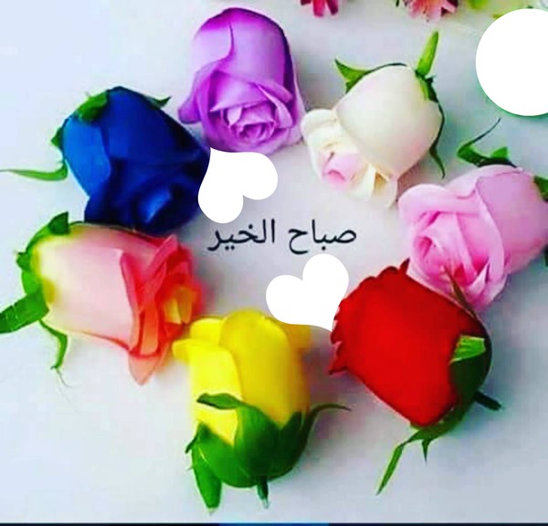 bonjour en arabe Photomontage