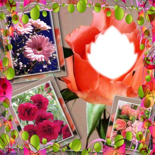 cadres de fleurs Photomontage