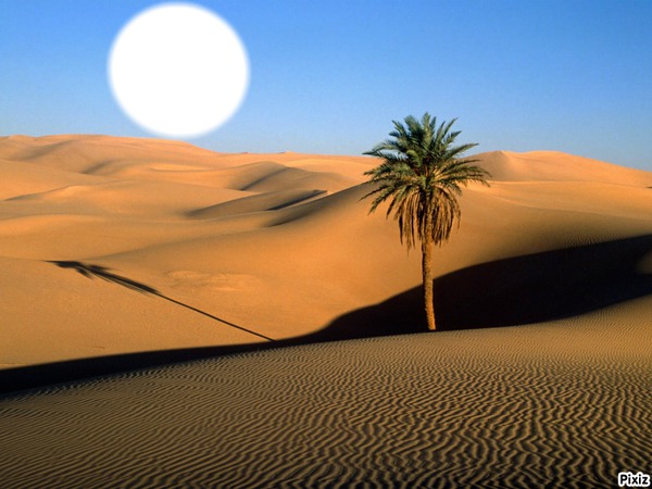desert Fotomontagem