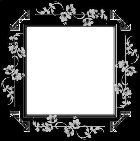 cadre noir fleur Fotomontage