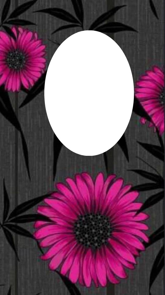 pink daisys Photo frame effect