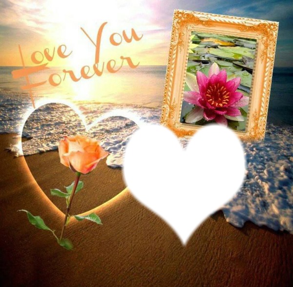 Love you Forever Photomontage