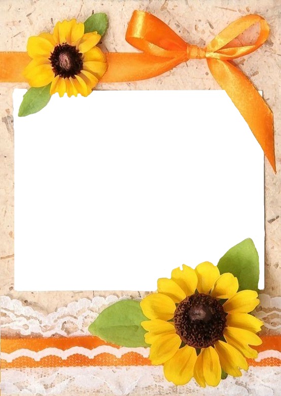 detalles, lazo y flores amarillas. Photo frame effect