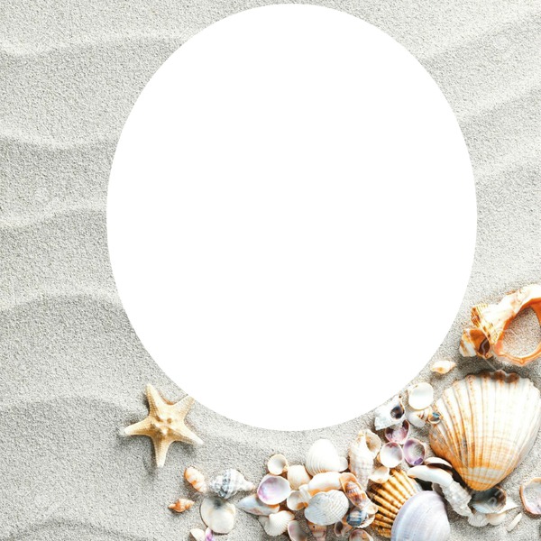 Coquillages et sable Photo frame effect