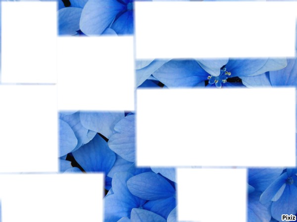 fleur bleue Photomontage