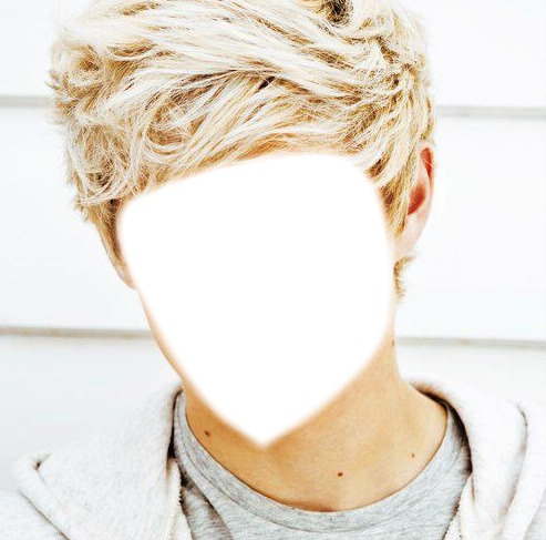 One direction Niall Horan Fotomontage