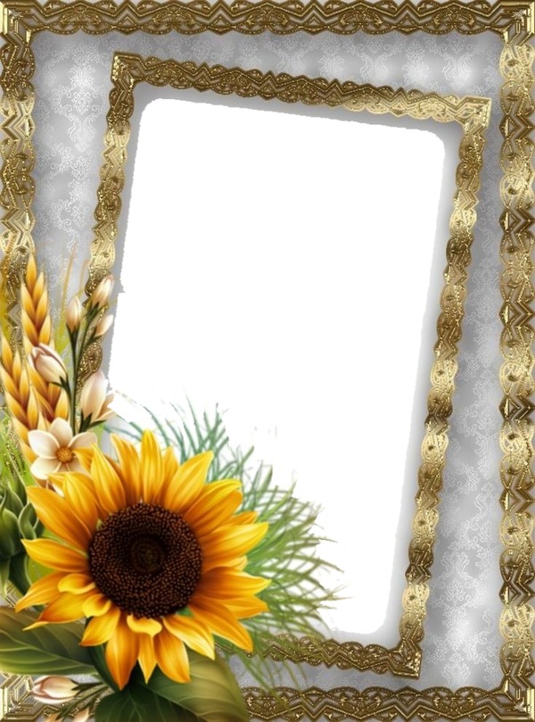 Girassol mimosdececinha Photo frame effect