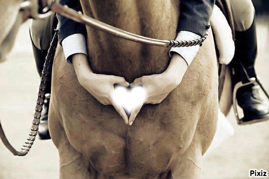 cheval coeur Photomontage