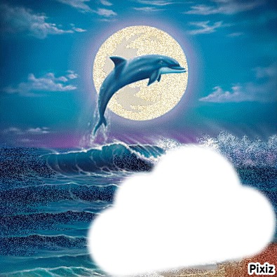 dauphin nuage Photo frame effect