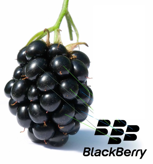 blackberry フォトモンタージュ