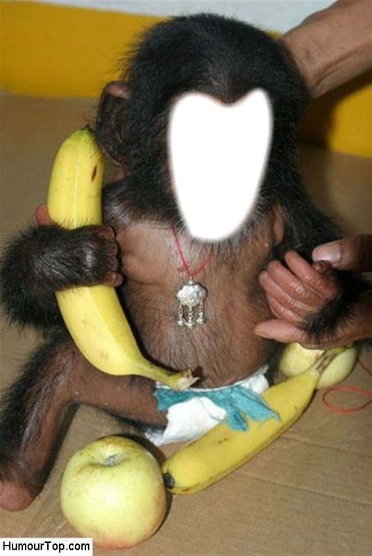petit bebe singe Photomontage