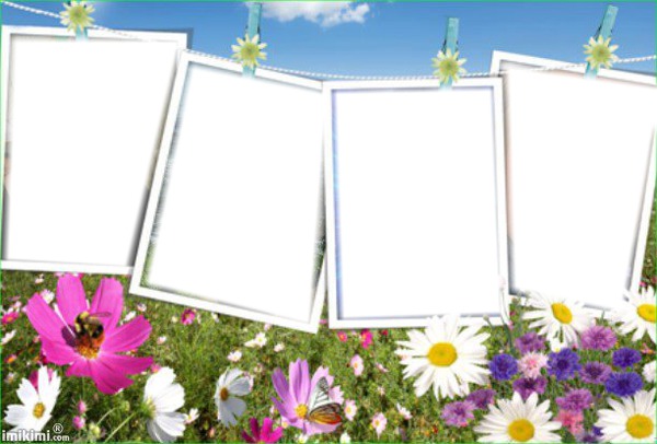 page Photo frame effect