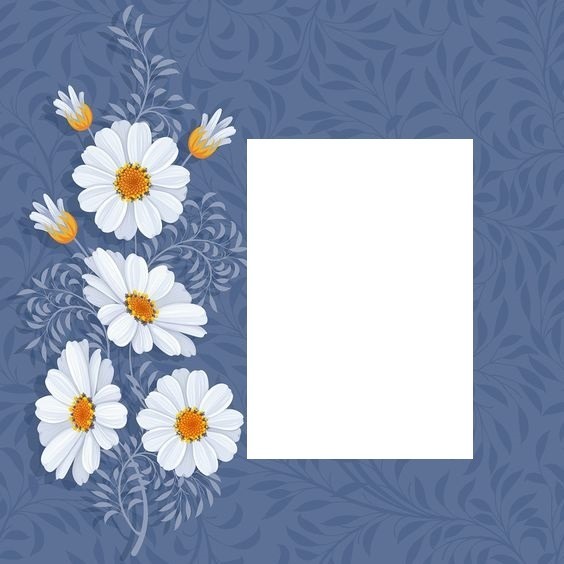 marco y florecillas blancas , fondo azul. Montaje fotografico