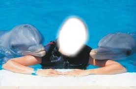 les dauphins Фотомонтажа