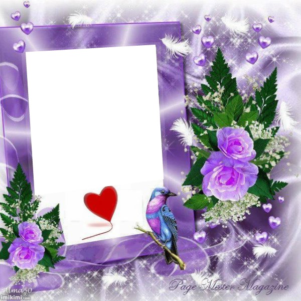Cadre violet Photomontage