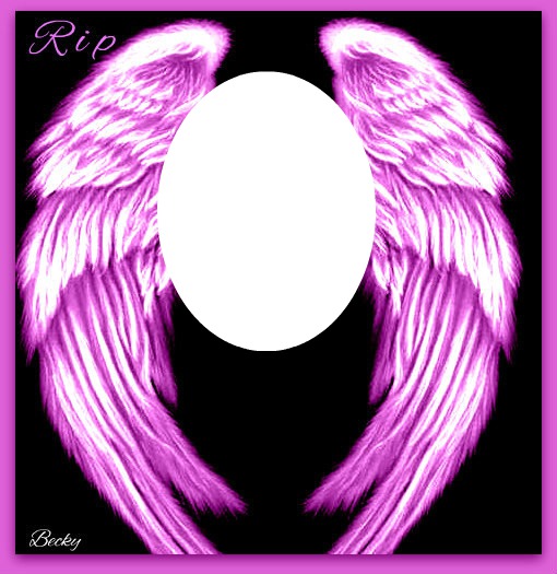 pink wings Photo frame effect