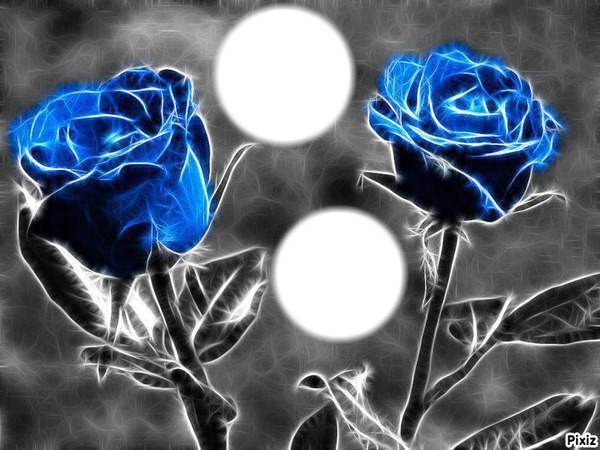 2 roses bleue Fotomontažas