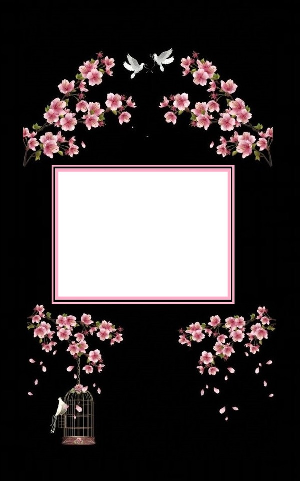 marco y flores rosadas, palomas en fondo negro. Fotomontage
